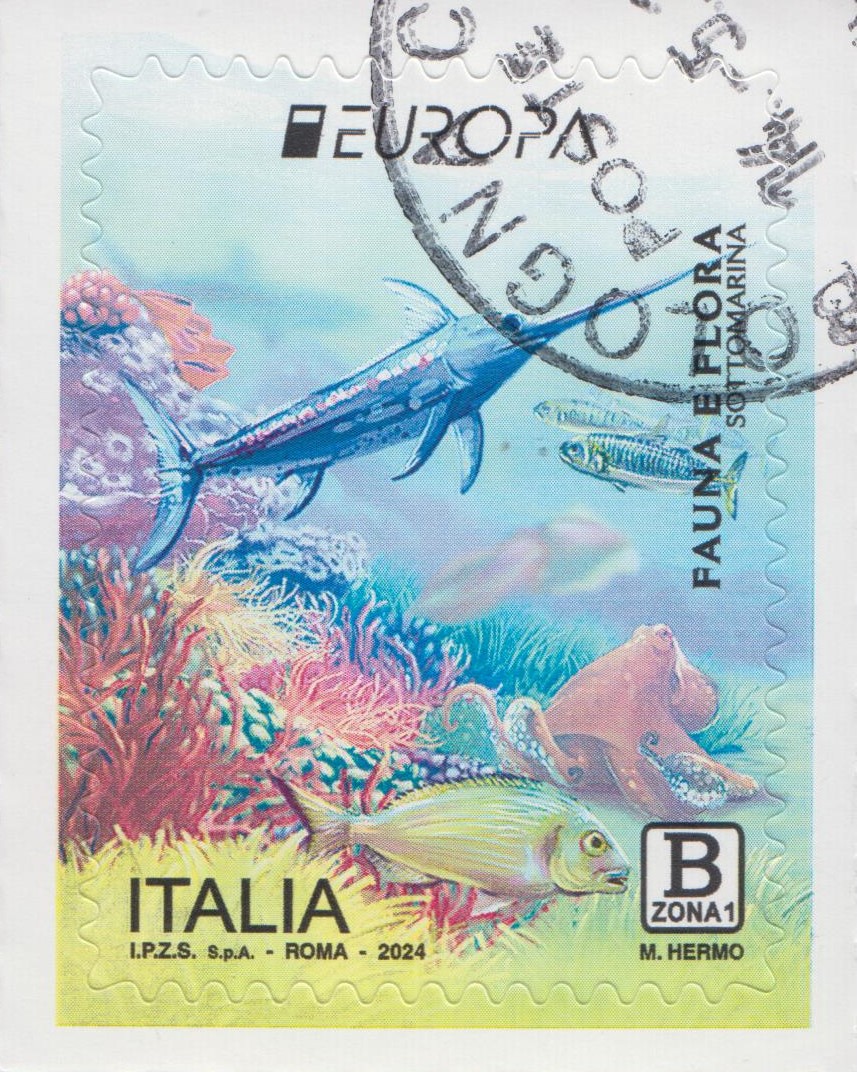 2024 Europa fauna sottomarina Pesce spada