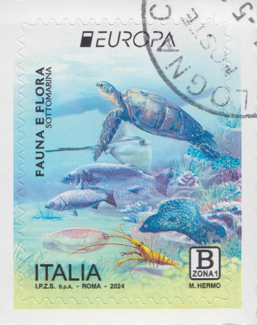 2024 Europa fauna sottomarina tartaruga