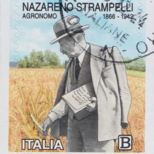 2024 Nazareno Strampelli
