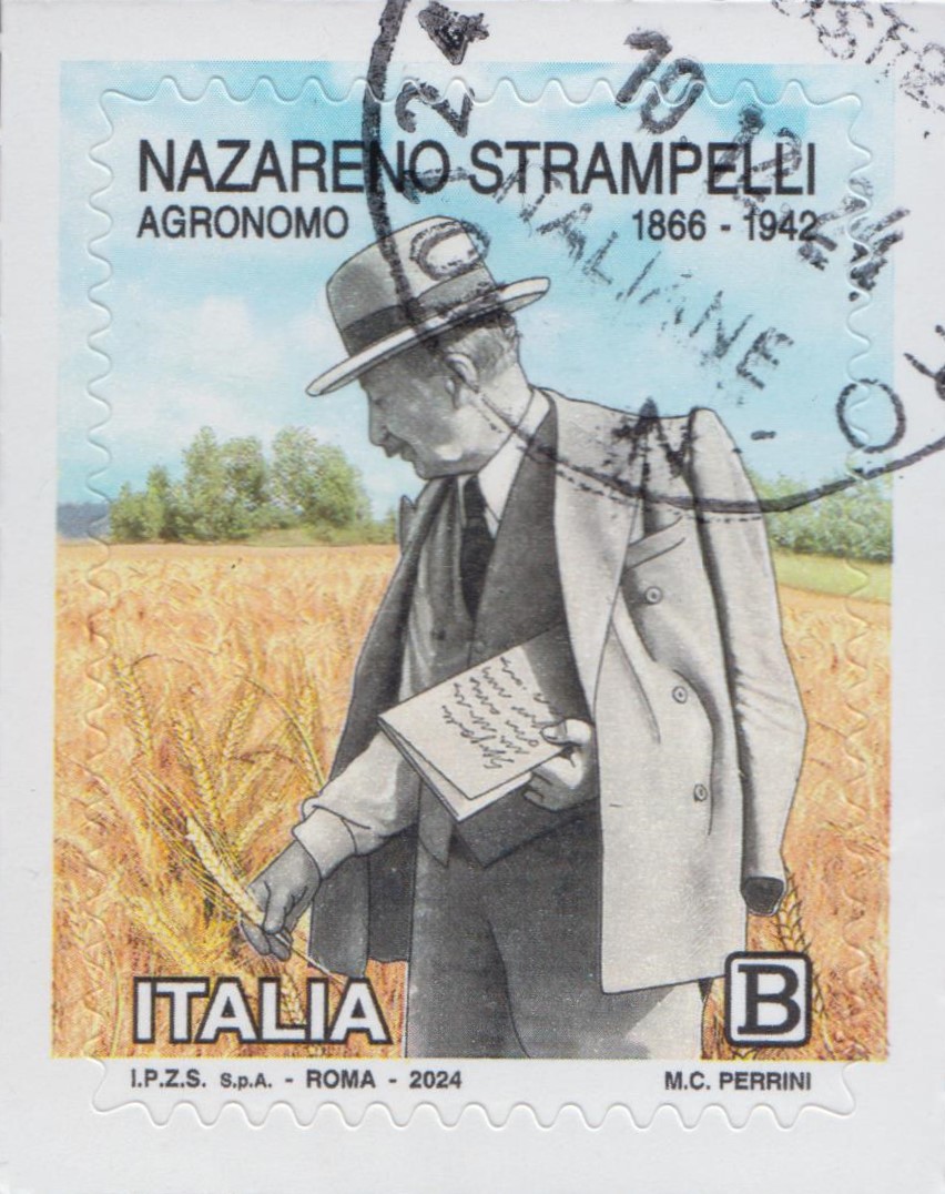 2024 Nazareno Strampelli