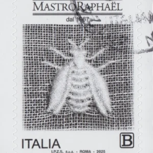 2025 Mastro Raphaël