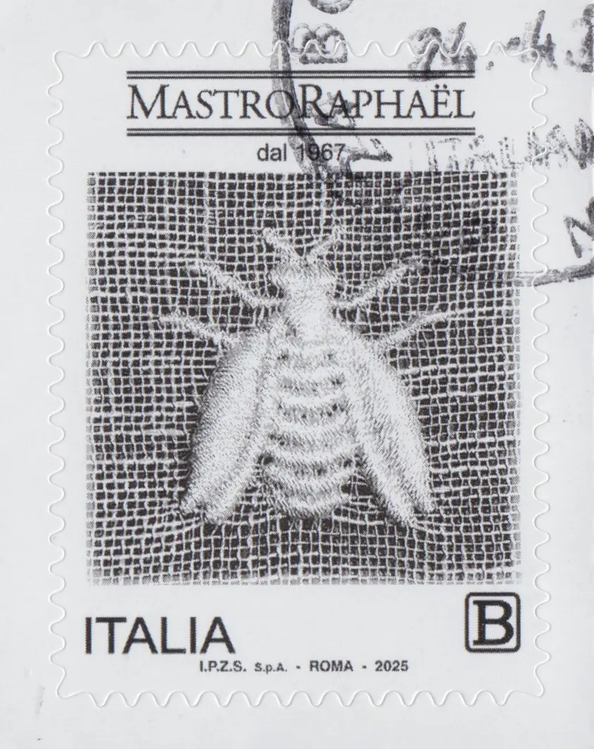2025 Mastro Raphaël