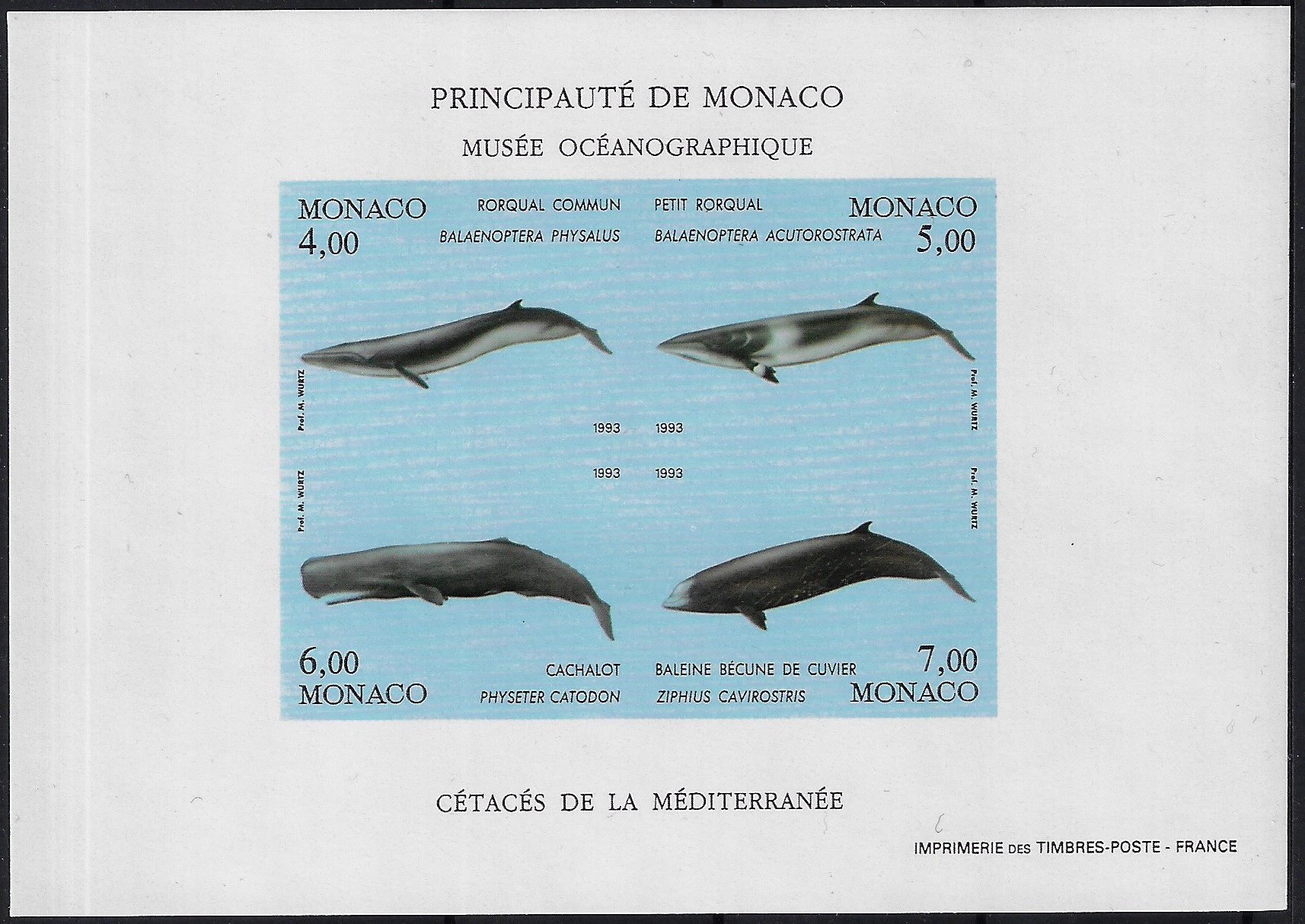 1993 Foglietto Protezione dell'ambiente marino cetacei non dentellato YT 59a